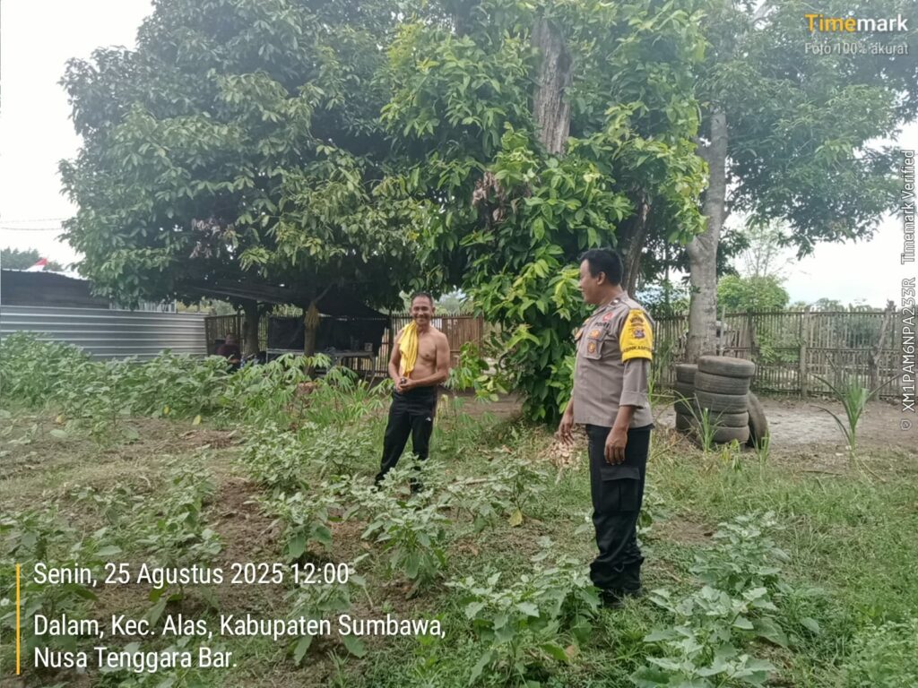 WhatsApp Image 2025-08-25 at 12.36.11 (1)