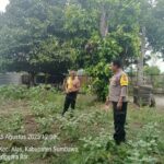 WhatsApp Image 2025-08-25 at 12.36.11 (1)