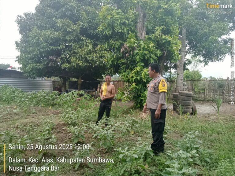 WhatsApp Image 2025-08-25 at 12.36.11 (1)