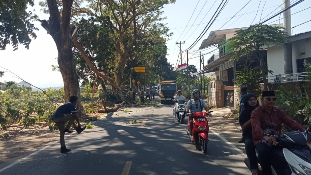 WhatsApp Image 2025-08-25 at 12.46.30