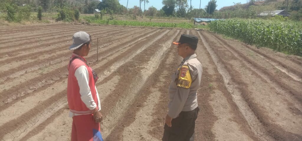 WhatsApp Image 2025-08-28 at 11.33.40