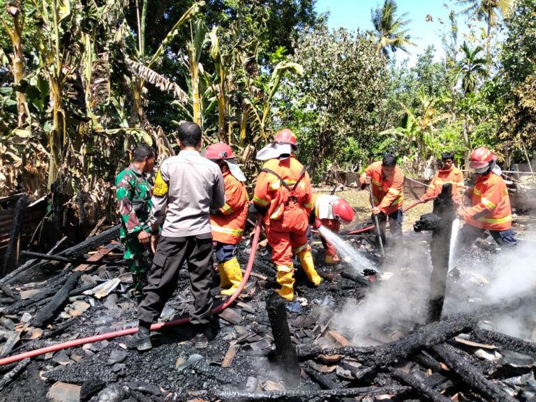 WhatsApp Image 2025-08-28 at 11.40.29 (1)