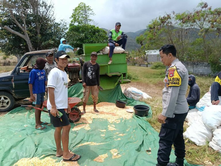 WhatsApp Image 2025-08-28 at 21.12.37