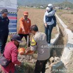 WhatsApp Image 2025-08-31 at 11.37.19