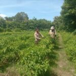 4be45eb5-2174-43c4-80b1-41167f964180