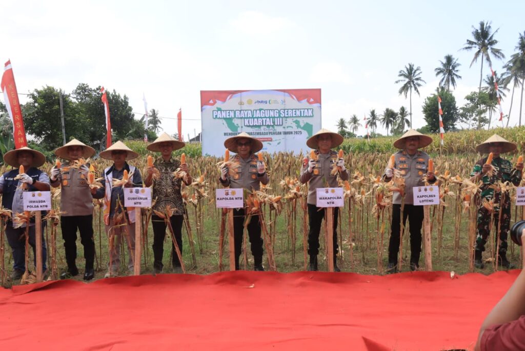 877e1a21-3ef1-492a-8b5f-11e309350130