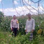 Polri Hadir Bantu Petani Jagaraga Tingkatkan Produktivitas Lahan Pertanian