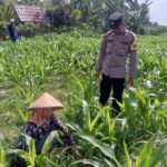 Sinergi Polisi dan Petani Bhabinkamtibmas Kuripan Galakkan Pemanfaatan Pekarangan Rumah
