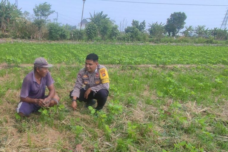 Sinergi Polri dan Warga Kuranji Dorong Desa Mandiri Pangan
