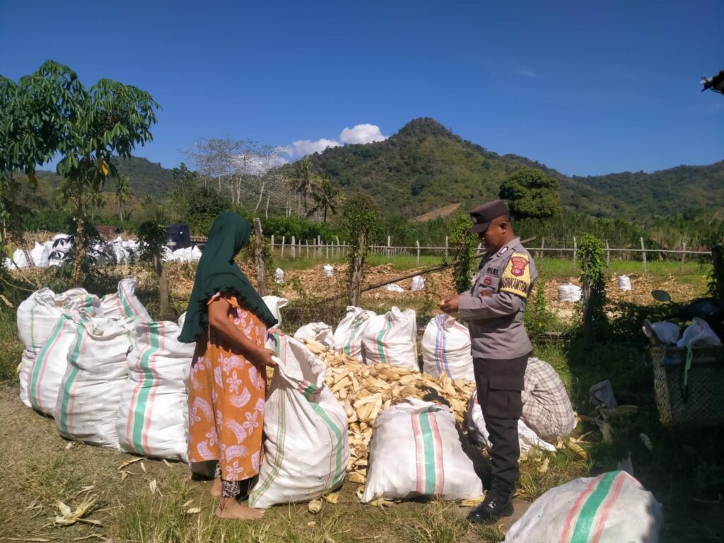 WhatsApp Image 2025-09-01 at 12.11.55