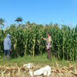 WhatsApp Image 2025-09-03 at 10.24.18 (1)