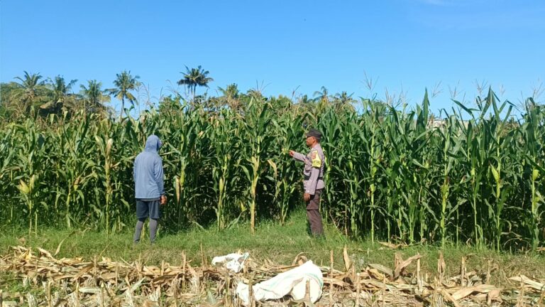 WhatsApp Image 2025-09-03 at 10.24.18 (1)