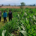 WhatsApp Image 2025-09-03 at 12.19.17