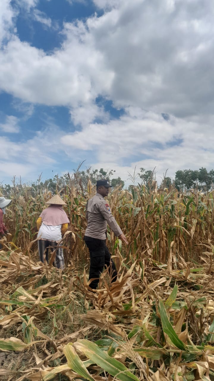 WhatsApp Image 2025-09-08 at 08.41.34 (1)