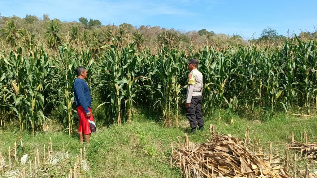 WhatsApp Image 2025-09-08 at 11.42.04 (1)