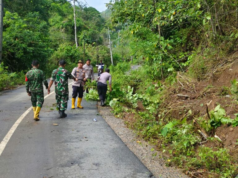 WhatsApp Image 2025-09-11 at 11.12.05