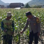 WhatsApp Image 2025-09-12 at 07.52.30