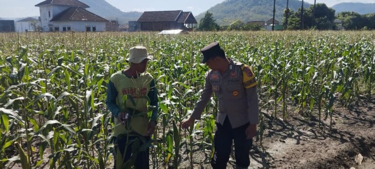 WhatsApp Image 2025-09-12 at 07.52.30