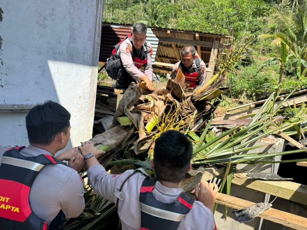 WhatsApp Image 2025-09-13 at 10.51.14