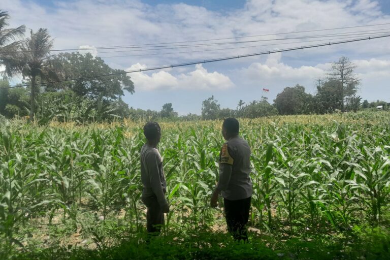 Polsek Labuapi Dorong Warga Dusun Jogot Tanam Hortikultura Guna Kemandirian Pangan