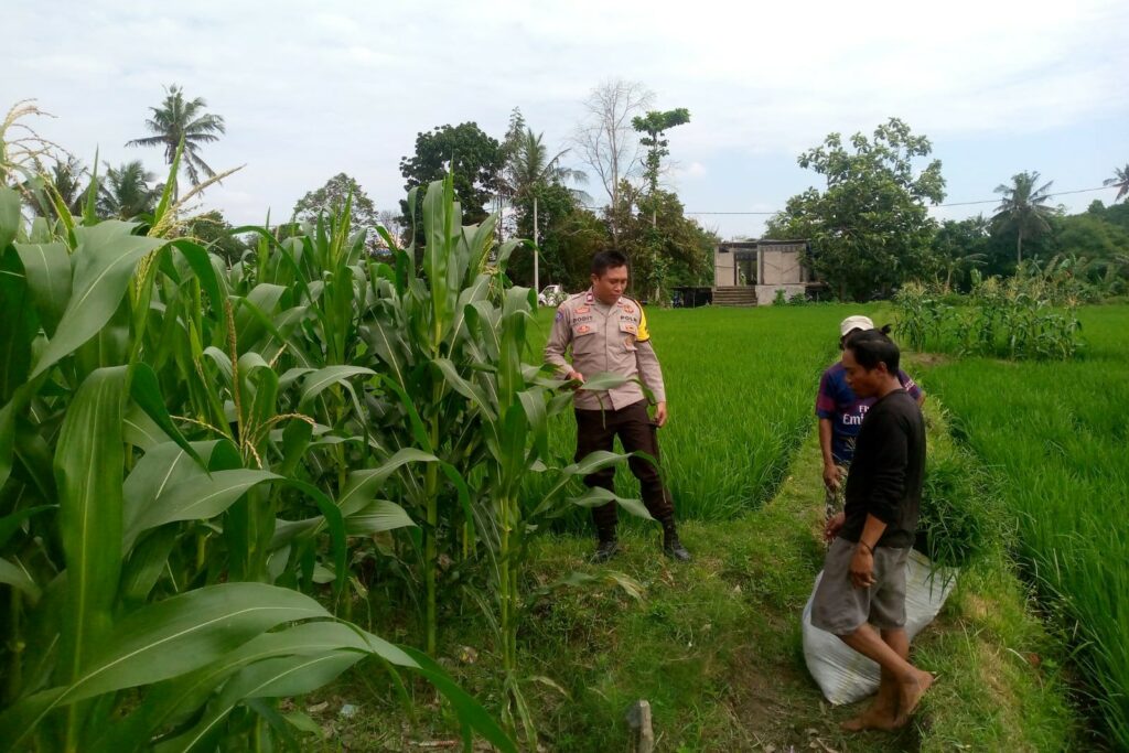 WhatsApp Image 2025-09-16 at 10.32.33