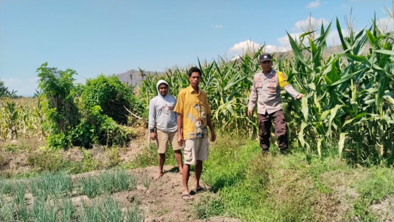 WhatsApp Image 2025-09-16 at 11.47.06