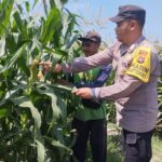 WhatsApp Image 2025-09-16 at 11.47.07