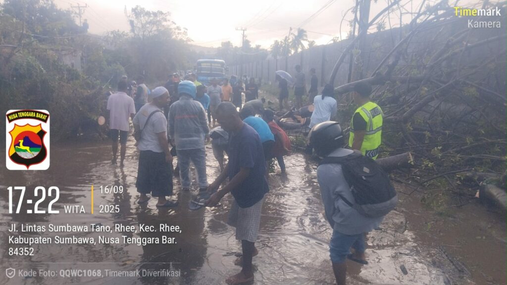 WhatsApp Image 2025-09-17 at 09.18.17_13806776