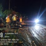 WhatsApp Image 2025-09-17 at 09.26.24_92f714cf