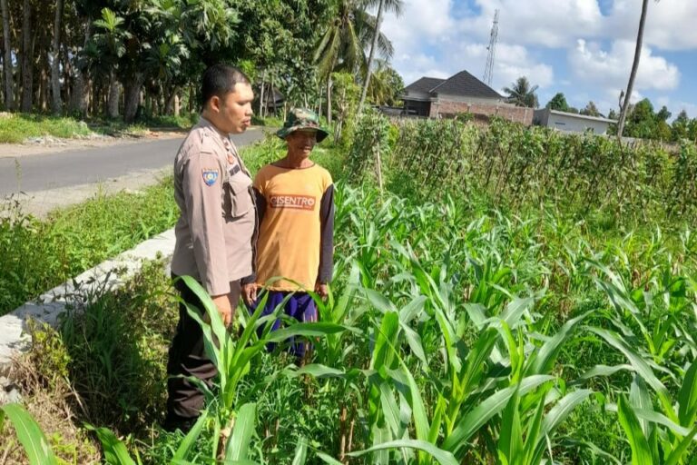 Kepolisian Kediri Bina Petani Jagung Gelogor, Perkuat Ekonomi dan Pangan Lokal
