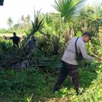 WhatsApp Image 2025-09-20 at 11.23.57