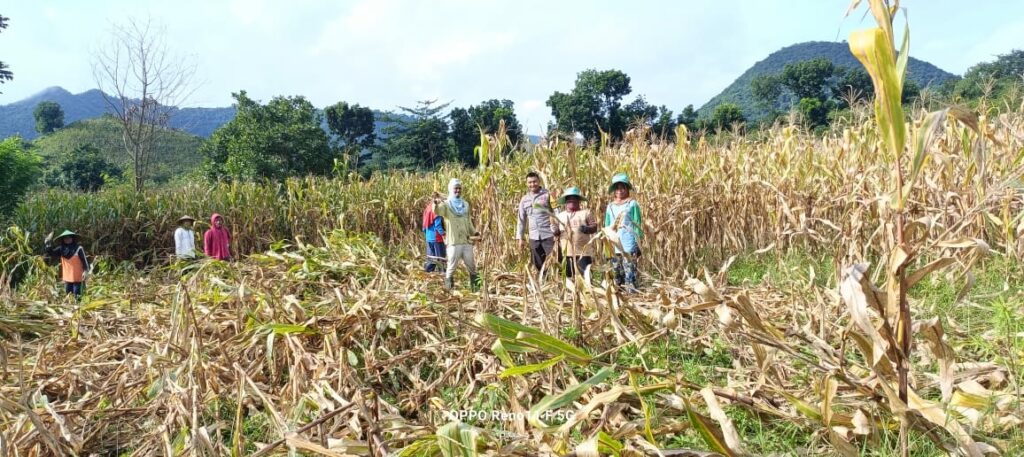 WhatsApp Image 2025-09-20 at 12.20.15