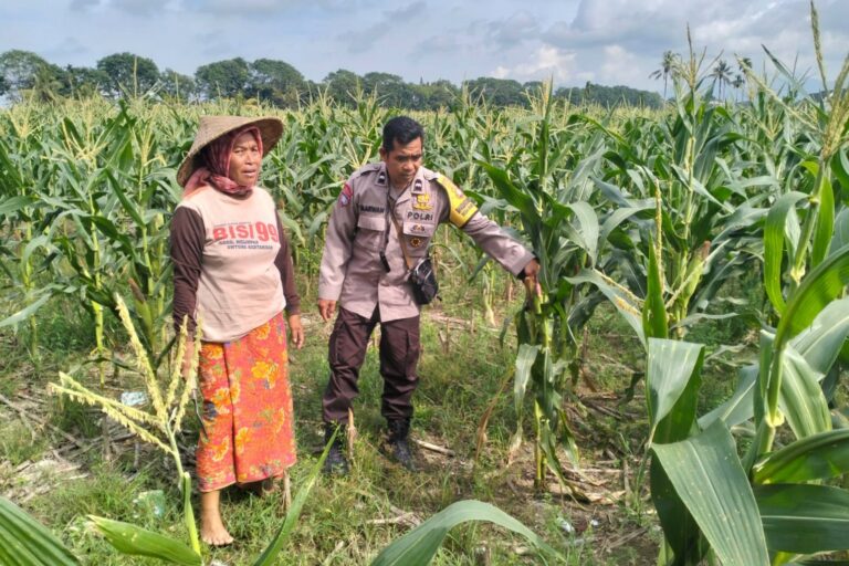 Polsek Labuapi Bangun Kesadaran Pangan Mandiri di Karang Kebon