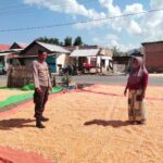 WhatsApp Image 2025-09-24 at 10.01.15 (1)