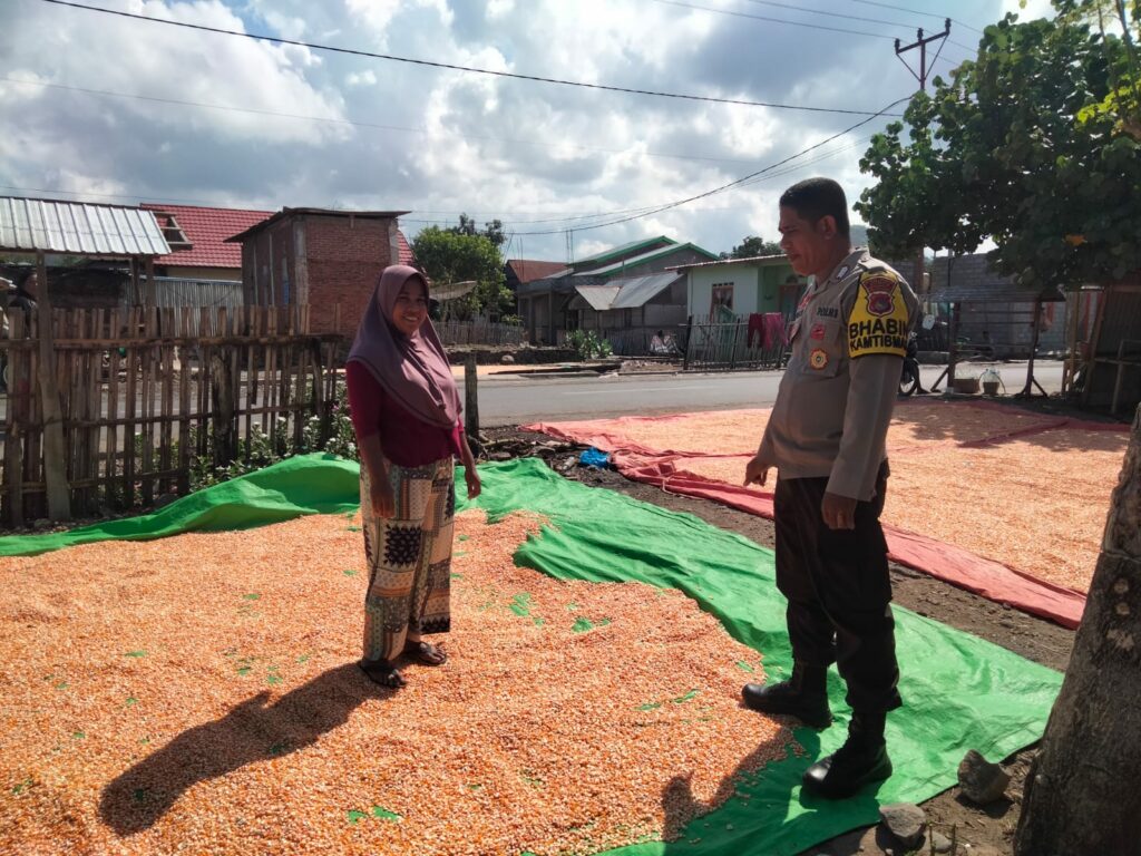 WhatsApp Image 2025-09-24 at 10.01.15