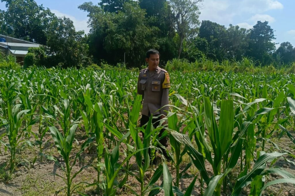 WhatsApp Image 2025-09-24 at 11.37.35 (1)