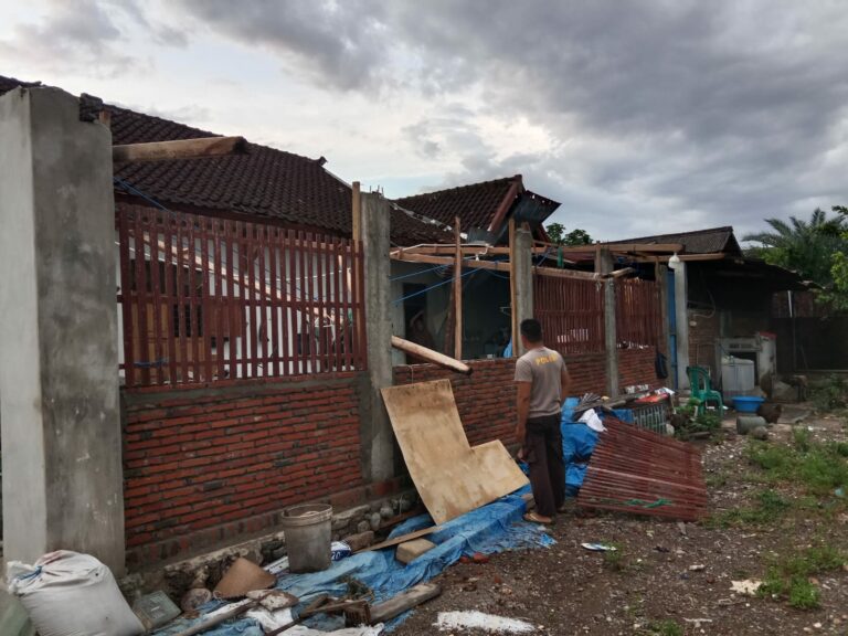 WhatsApp Image 2025-09-25 at 09.13.49