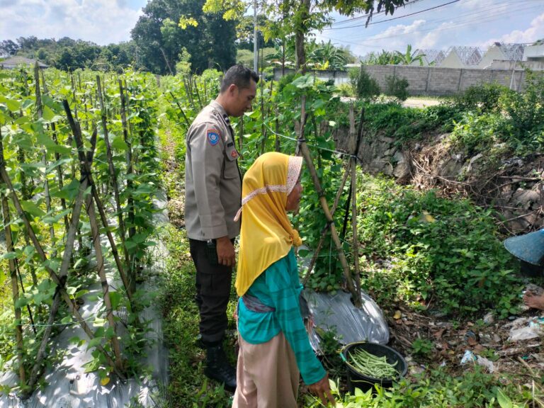 Ketahanan Pangan Diperkuat, Bhabinkamtibmas Desa Labuapi Ajak Warga Produktif