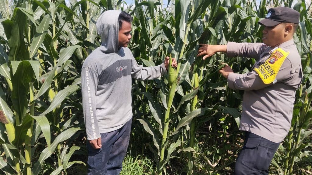 WhatsApp Image 2025-09-27 at 10.40.04