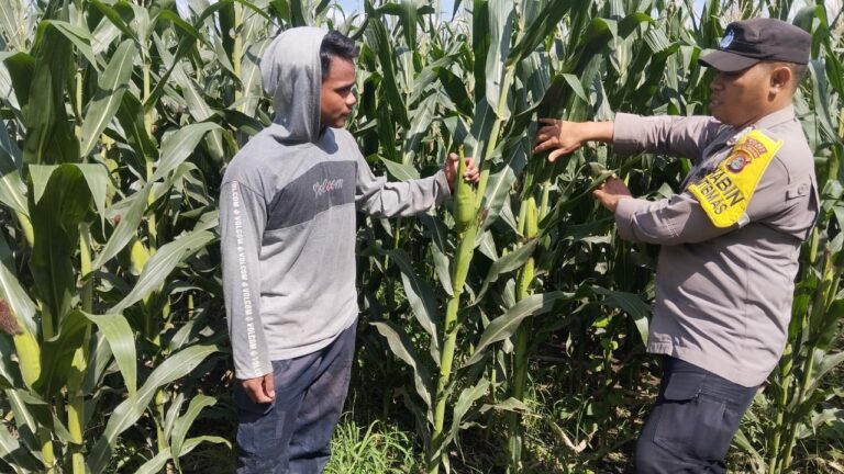 WhatsApp Image 2025-09-27 at 10.40.04