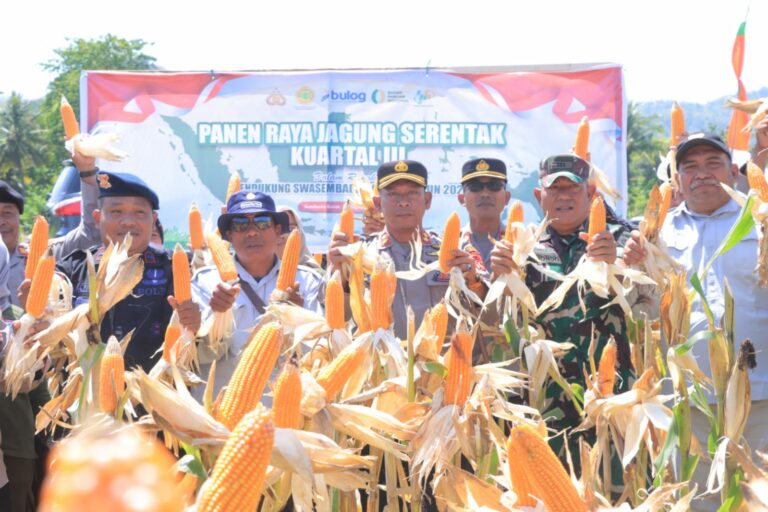 WhatsApp Image 2025-09-27 at 10.48.13