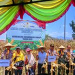 WhatsApp Image 2025-09-27 at 16.10.37