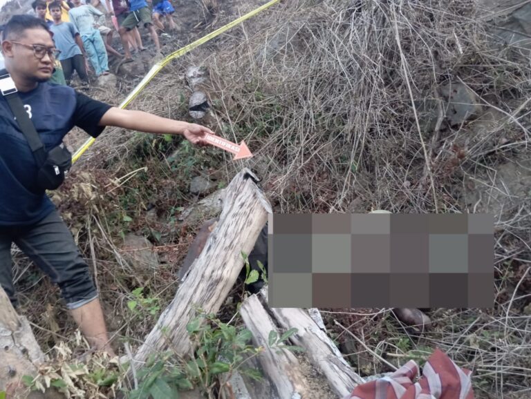 WhatsApp Image 2025-09-29 at 09.25.24