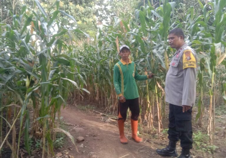 WhatsApp Image 2025-09-29 at 13.19.04