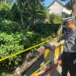 c7c8a0b8-8d58-429e-b554-8d2a82376799