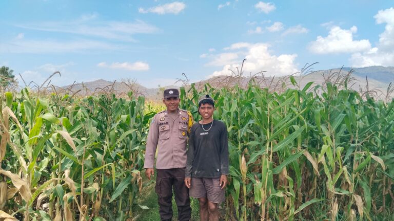 WhatsApp Image 2025-10-02 at 13.34.29