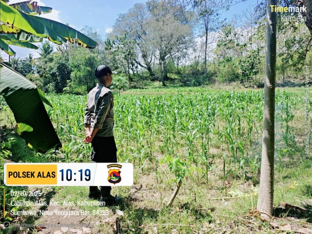 WhatsApp Image 2025-10-03 at 07.19.03_9ce3d841