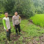 WhatsApp Image 2025-10-03 at 16.05.32