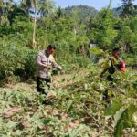 WhatsApp Image 2025-10-07 at 09.08.59