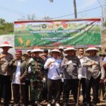 WhatsApp Image 2025-10-08 at 11.37.43